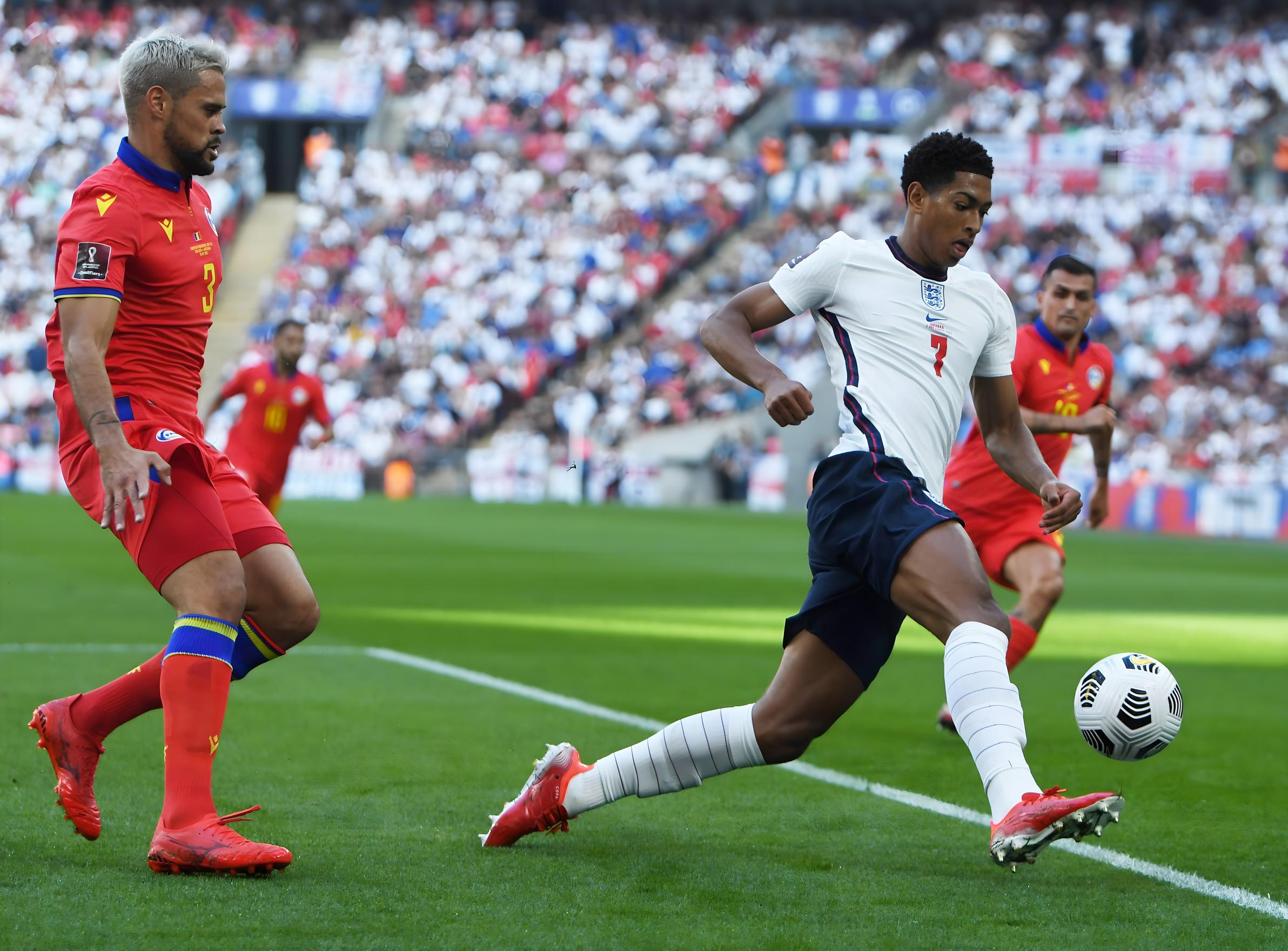 较为单一的 较为单一的