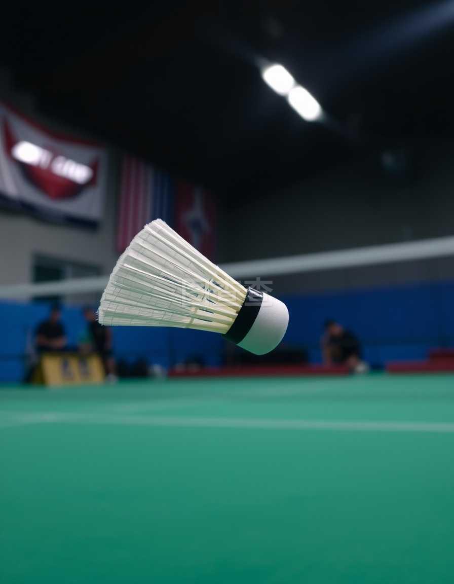 较小联赛的 较小联赛的