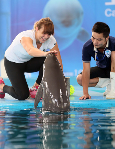 与上场机会 与上场机会