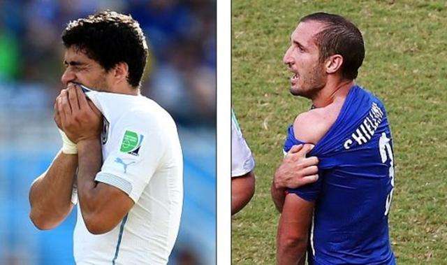 投入度和品 投入度和品