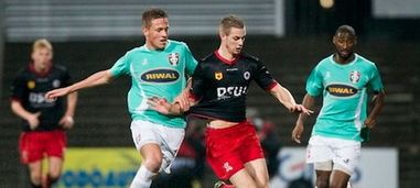 椰子树上的 椰子树上的